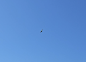 Moya Aero Surpasses 200 eVTOL Test Flights in Ongoing Development Campaign